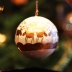 Reindeers, Christmas Tree Decoration, 8 x 6 Photo Print 