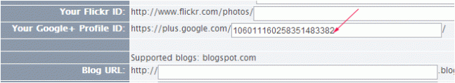 Adding your Google Plus Account on iCraft Blog Profile.