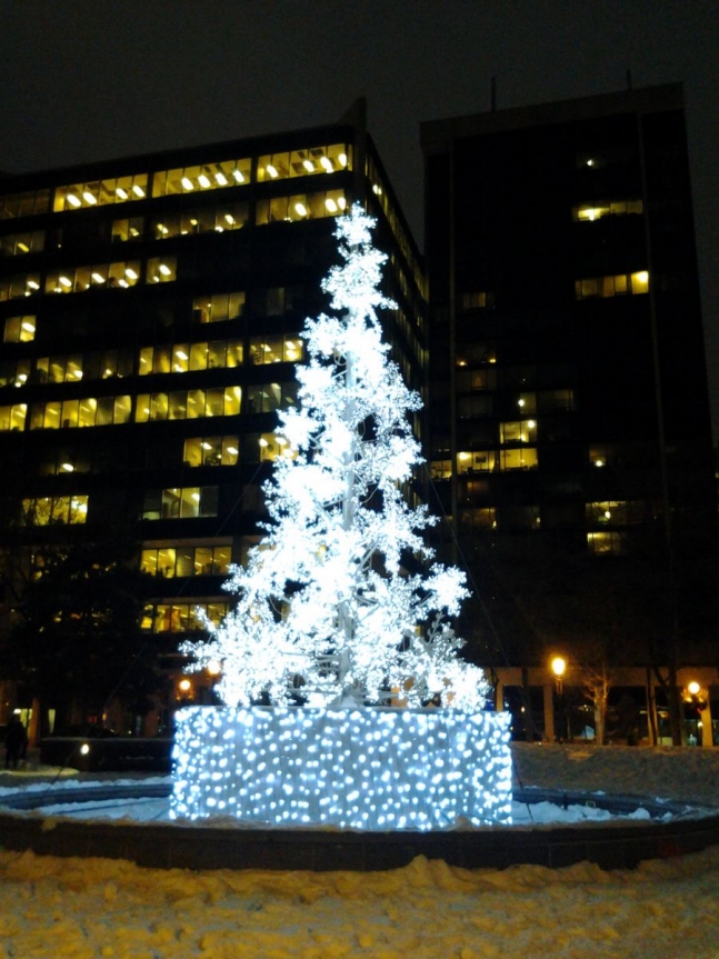  the Snowflake Tree in Berczy Park, Toronto