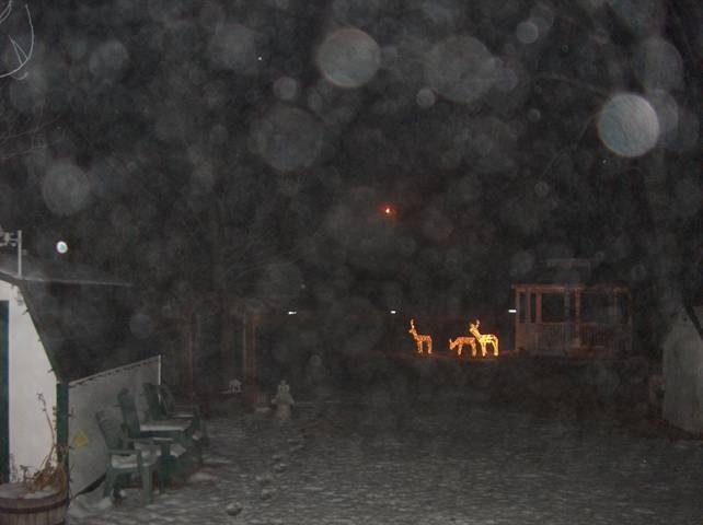 gazebo at night during a blizzard