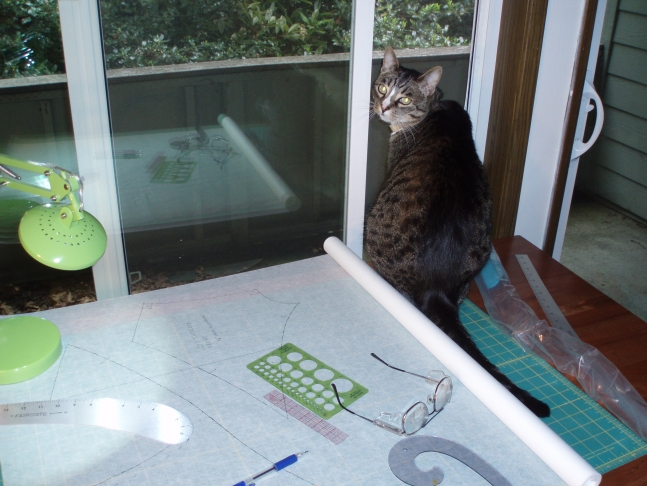 Jonathan's design table with helper cat