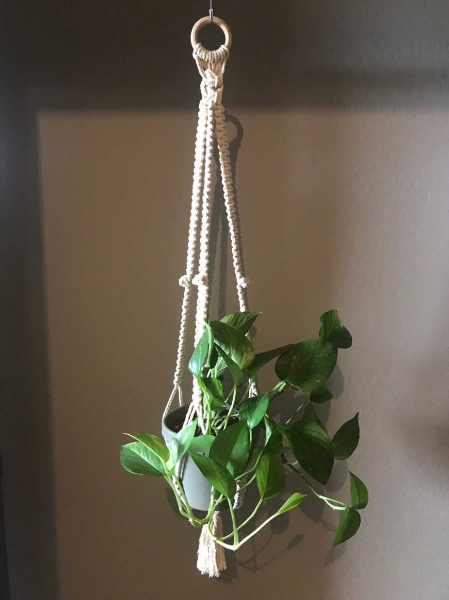 Macrame Plant Hanger by HoleyPlantHangers, Garden & Patio