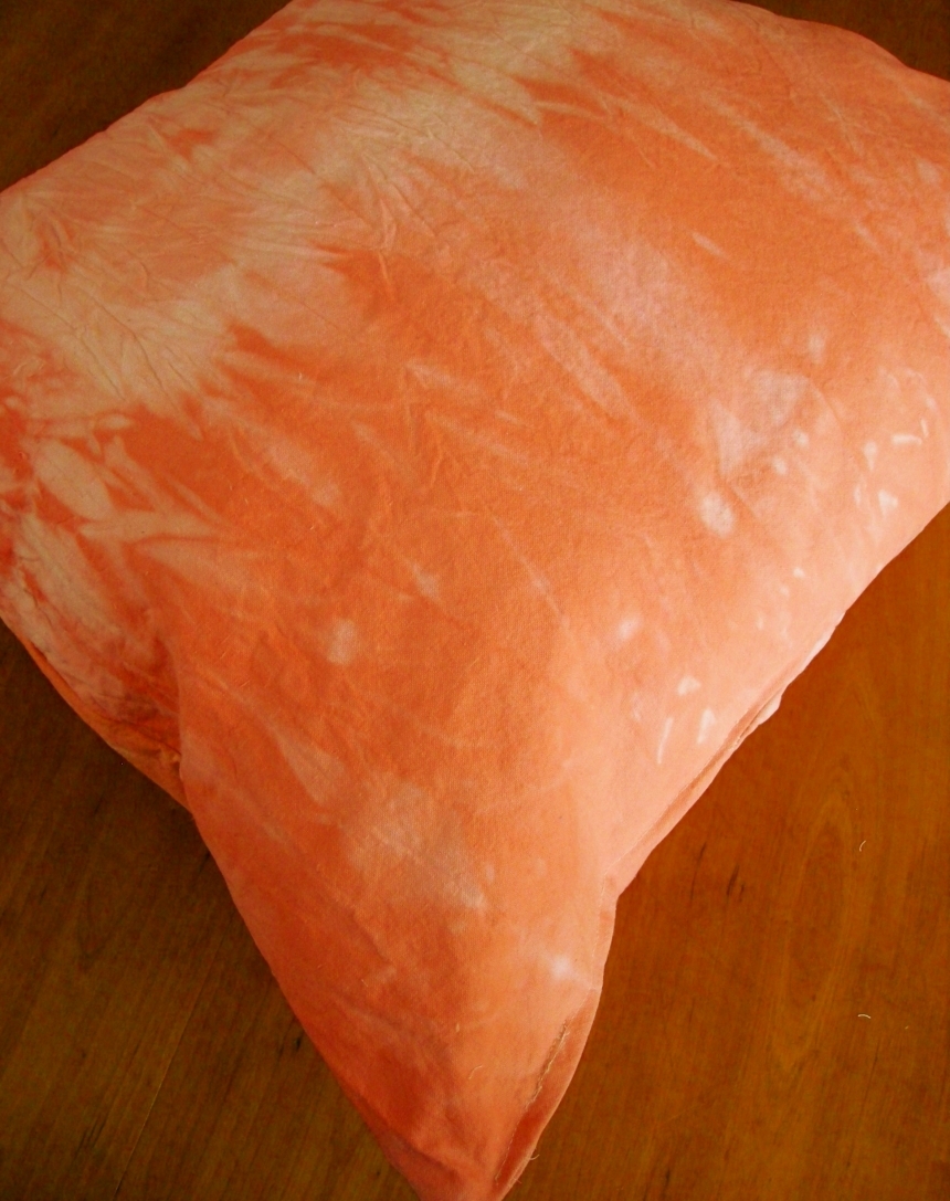Coral Lounging Pillow by ChubbyTrubby, Pillows on