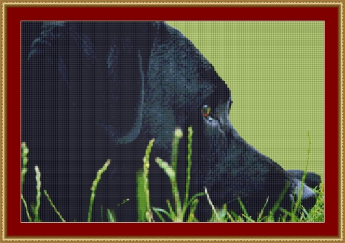 Black Labrador Cross Stitch Pattern by Avalon Cross Stitch