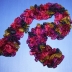 Frilly Bright Multi-Colored Scarf