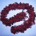 Burgundy and Navy Frilly Scarf