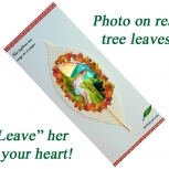 Photo On Tree Leaves