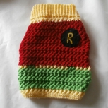 robin(batmans side kick)  dog sweater