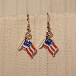 USA Flag Earrings