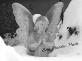 Angel in Snow