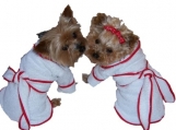  Dog Pet Terry Bath Robe  Color Choices   Sizes Medium - Large