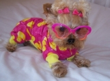 Feeling Just Ducky Dog Pet Pajamas ducks pink yellow  Sizes Medium - Large