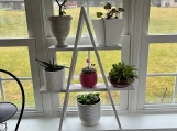 GG-Simple Plant/Item Ladder Display in White