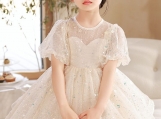 Princess Flower Girl Dress Birthday Party Dress Girl Dress 