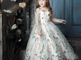 Princess Flower Girl Dress Birthday Party Dress Girl Dress 