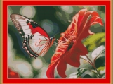 Beautiful Nature Cross Stitch Pattern