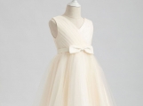 Beige Tulle Short Flower Girl Dress Birthday Dress