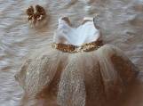 Champagne/Pink Cute Tulle Flower Girl Dress Birthday Day