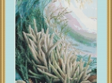 Coral Reef Cross Stitch Pattern