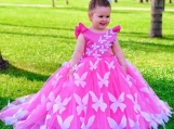 Hot Pink Butterflies Flower Girl Dress Birthday Party Dress