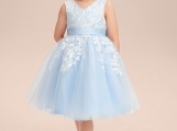 Light Blue Tulle Appliques Short Flower Girl Dress