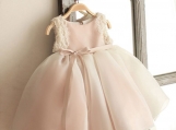 Light Pink Lace Short Flower Girl Dress Birthday Dress