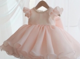 Pink Bow Flower Girl Dress Birthday Party Dress