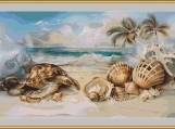 Turtle And Seashells Cross Stitch Pattern