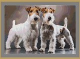 Wire Fox Terriers Cross Stitch Pattern