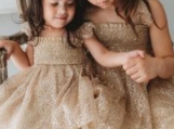 Sparkle Champagne Lace Flower Girl Dress Birthday Party Dress 