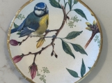 Eurasian Blue Bird Trinket Dish