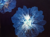 'Moon Flowers  Acrylic Painting Abstract Painting #6050