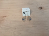 Spider & web Earrings