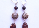 Brown Agate Dangle Earrings