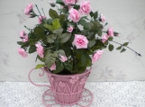 Pink Roses in tea cup