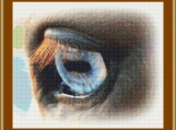 Eye Of A Horse Cross Stitch Pattern