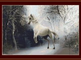 White Horse In The Snow Cross Stitch Pattern