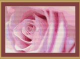 Pink Rose Cross Stitch Pattern