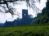 Ruins of Fountain's Abbey in UK, Photo Print 8' x 6'  