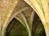 Walls of Fountains Abbey, UK, Photo Print 8' x 6' 