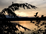 Sunset & Pine Branch, Algonquin Park, Photo Print 8' x 6'   