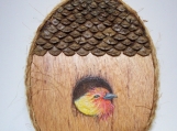 Tanager Birdhouse Wall Plaque