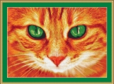 Beautiful Green Eyes Cross Stitch Pattern