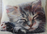 Cat Fast Asleep Tapestry Cushion Cover - Free Shipping