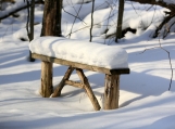 Winter Bench in the Forest, Photo Print 8' x 6' 