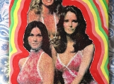Charlies Angels silkscreen on canvas on board