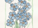 little blue flowers