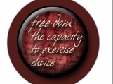 Freedom Magnetic Pendant Insert