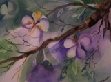 Spring Blooms III Original Watercolor 8 x 10 by BDorsa (with 11 x 14 mat)