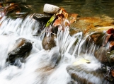 Waterfall in Costa Rica, 8 x 6 Photo Print   